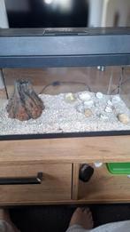 aquarium JUWEL, Dieren en Toebehoren, Vissen | Aquaria en Toebehoren, Ophalen, Zo goed als nieuw, Leeg aquarium