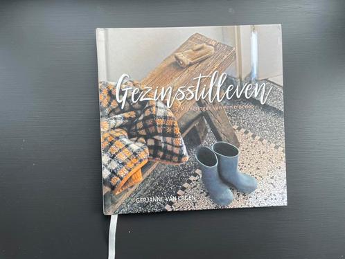 Gerjanne van Lagen - Gezinsstilleven, Boeken, Godsdienst en Theologie, Zo goed als nieuw, Ophalen of Verzenden
