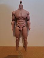 Hot toys TTM20 1/6 muscle body, Verzamelen, Poppetjes en Figuurtjes, Ophalen, Zo goed als nieuw