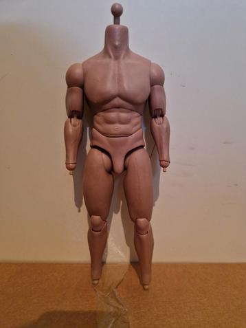 Hot toys TTM20 1/6 muscle body beschikbaar voor biedingen