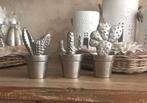 Riviera maison cactussen Nieuwstaat, Huis en Inrichting, Woonaccessoires | Overige, Ophalen of Verzenden, Zo goed als nieuw