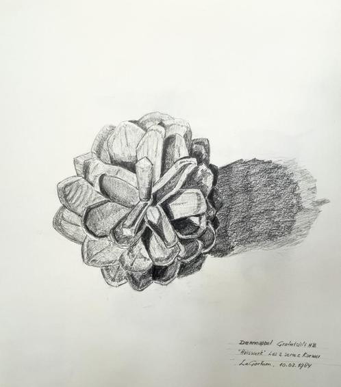 Louis van Gorkum - Denneappel van boven af gezien - 39x52, Antiek en Kunst, Kunst | Schilderijen | Klassiek, Ophalen of Verzenden