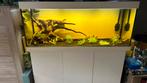 Jewel Rio 450, Zo goed als nieuw, Ophalen, Gevuld zoetwateraquarium