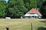 Vakantiehuizen op de veluwe te huur DEN-HASPEL, 8 personen, 4 of meer slaapkamers, In bos, Open haard