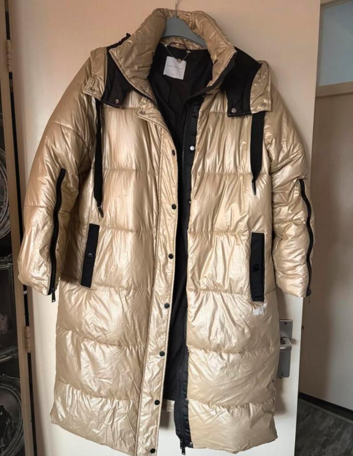 Rino & pelle winterjas maat 44, Kleding | Dames, Jassen | Winter, Gedragen, Maat 42/44 (L), Overige kleuren, Ophalen of Verzenden