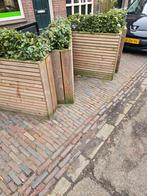 Gratis planten bakken, Tuin en Terras, Ophalen, Gebruikt, Rond, 60 cm of meer