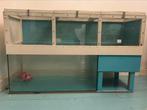 Aquarium 80x40x40 incl. bovenbouw, Dieren en Toebehoren, Ophalen, Gebruikt, Leeg aquarium