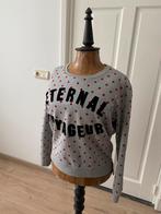 Sweater scotch en Soda maat 34, Kleding | Dames, Zo goed als nieuw, Maat 34 (XS) of kleiner, Grijs, Maison Scotch