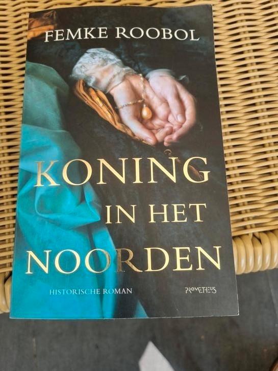 Femke Roobol - Koning in het noorden, Boeken, Historische romans, Zo goed als nieuw, Ophalen of Verzenden