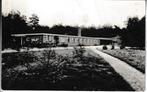 ERMELO - DENNENHEUVEL, Verzenden, 1940 tot 1960, Gelopen, Gelderland