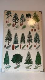 4 schoolplaten frederick warne 1974 - ian garrard, Ophalen