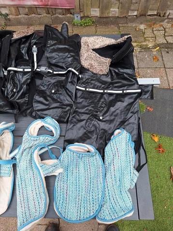 hondenjassen en tuigjes beschikbaar voor biedingen
