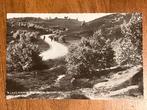 De Jutberg. Laag Soeren. Weg naar de Posbank. 1954., Ophalen of Verzenden, 1940 tot 1960, Gelopen, Gelderland