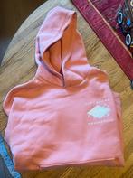Nike premium air jordan hoodie, Ophalen of Verzenden, Nieuw, Maat 48/50 (M), Roze