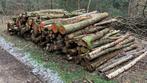 Mooie mix brandhout stammen, Tuin en Terras, Haardhout, Eikenhout, Stammen, Ophalen of Verzenden, 6 m³ of meer