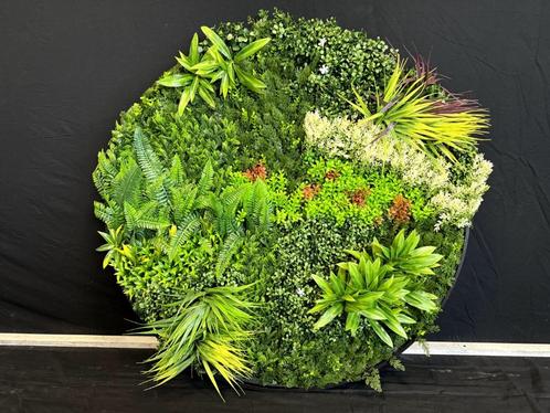 Kunsthaag rond, Huis en Inrichting, Woonaccessoires | Kunstplanten en Kunstbloemen, Nieuw, Binnen, Ophalen of Verzenden