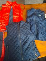 Paardrijkleding 10/12 jaar paardrijbroek chaps bodywarmer, Ophalen of Verzenden, Gebruikt
