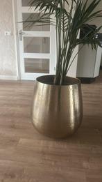 Grote bloempot, Tuin en Terras, Bloempotten, Ophalen, 40 cm of meer, Rond, Zo goed als nieuw