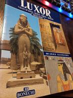 Luxor. Valley of Kings, Queens, Nobles,Artisa/Magi, Giovanna, Gelezen, Beeldhouwkunst, Magi, Giovanna, Verzenden