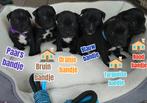Engelse stafford pups (staffordshire bullterriër puppy's), Dieren en Toebehoren, Honden | Jack Russells en Terriërs, Overige rassen
