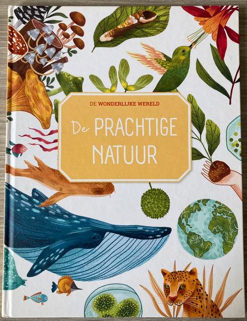 De Wonderlijke Wereld, De Prachtige Natuur - Matthew Forsyth, Boeken, Kinderboeken | Jeugd | onder 10 jaar, Zo goed als nieuw