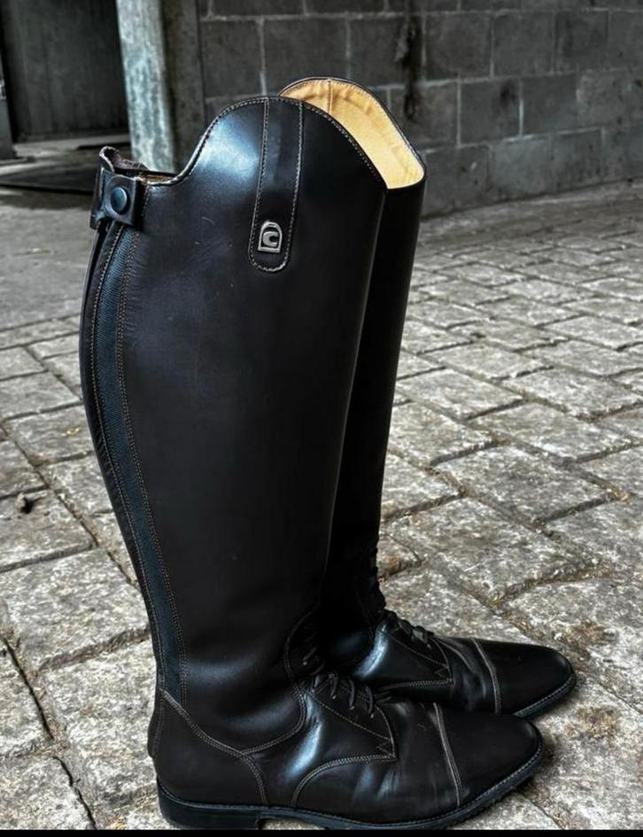 Cavallo rijlaarzen, Dieren en Toebehoren, Paardrijkleding, Nieuw, Schoeisel, Dressuur, Ophalen of Verzenden