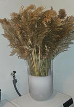 Hoge vaas gevuld met ong 100 pluimen heb er 2  100 cm hoog, Ophalen, Zo goed als nieuw