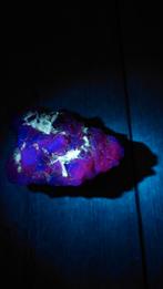 Black rose fluoriet #4, Ophalen of Verzenden