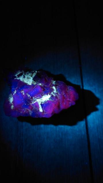 Black rose fluoriet #4 beschikbaar voor biedingen