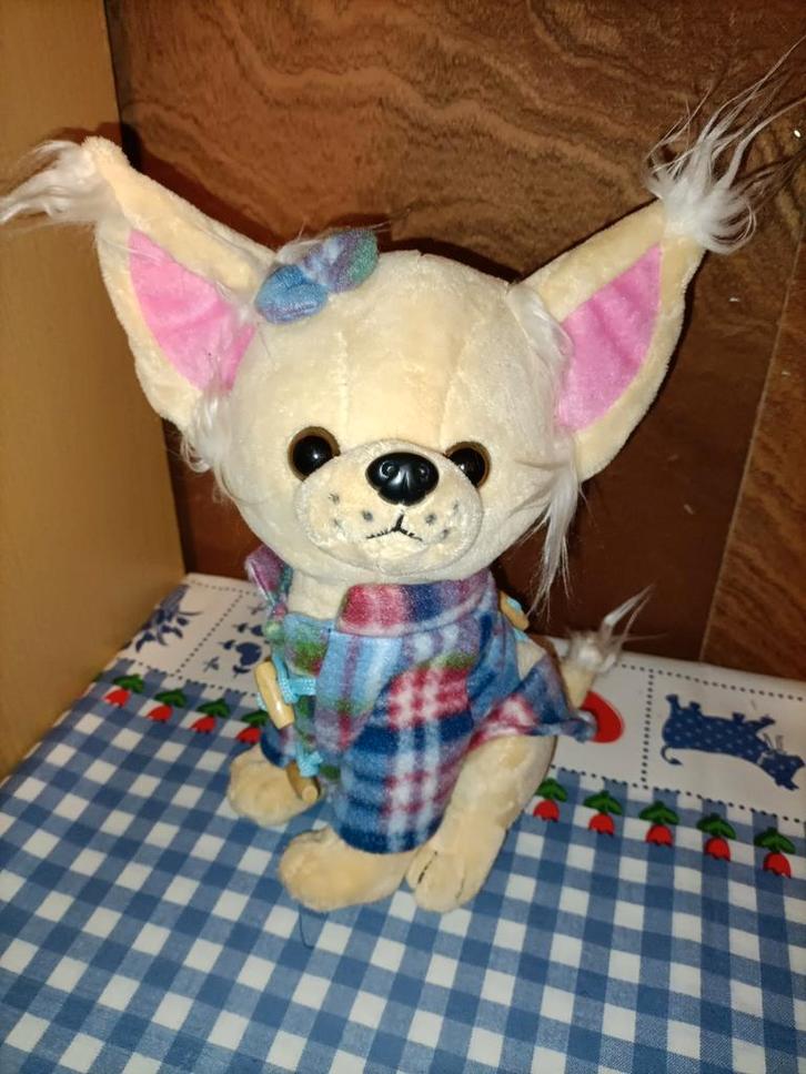 Lieve Chihuahua knuffel met kleren 26 cm groot, Kinderen en Baby's, Speelgoed | Knuffels en Pluche, Ophalen of Verzenden
