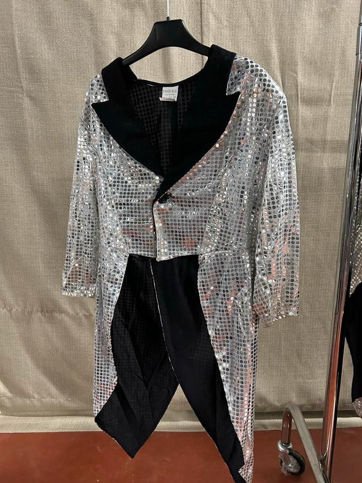Zilver Glitter Jassen & Hoeden - Groot Aantal!, Kleding | Heren, Carnavalskleding en Feestkleding, Zo goed als nieuw, Kleding