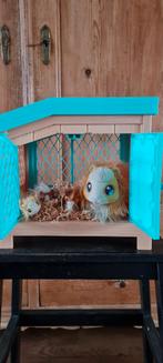 Little live pets Cavia met hok, Ophalen, Babypop