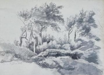 Nicolaas Syvert Bastert (1854-1939) - Landschap met bomen beschikbaar voor biedingen