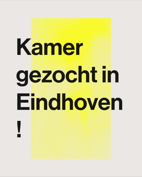Aankomend studente zoekt kamer in Eindhoven, Huizen en Kamers, Kamers te huur, Eindhoven
