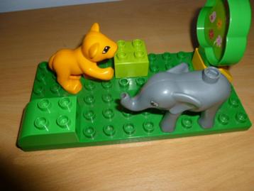 Duplo groen plaatje met olifant, tijger, blokjes en struik beschikbaar voor biedingen