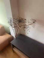 Gedroogde berenklauw 1,40 meter hoog, Ophalen, Gebruikt, Binnen