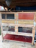 konijnenhok, Dieren en Toebehoren, Knaagdieren en Konijnen | Hokken en Kooien, Ophalen, 90 cm of meer, Konijn, Hok