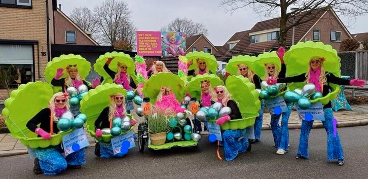 Carnavalskleding mooie kleine loopgroep, Kleding | Dames, Carnavalskleding en Feestkleding, Zo goed als nieuw, Carnaval, Maat 46/48 (XL) of groter