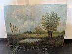 charmant landschapje op paneel, Huis en Inrichting, Minder dan 50 cm, Gebruikt, Ophalen of Verzenden, Schilderij