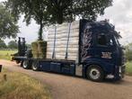 Vlas Vlasstrooisel Vlasbalen Vlaslemen Gemalenvlas, Meerdere dieren, 0 tot 2 jaar