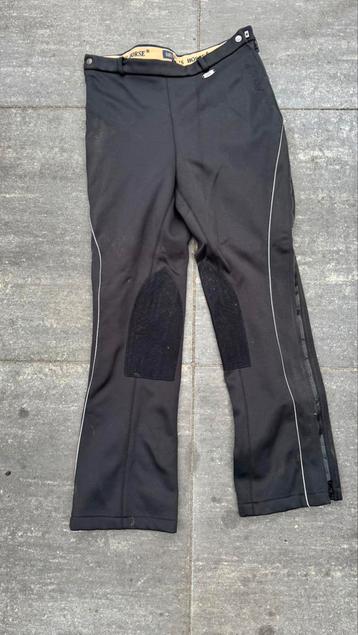 Harry’s Horse Thermobroek maat XL beschikbaar voor biedingen