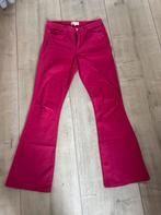 Fabienne Chapot jeans flare Eva hot pink., Ophalen of Verzenden, Zo goed als nieuw, Maat 38/40 (M), Roze