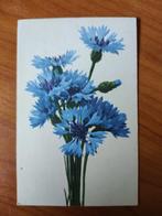 Ansichtkaart 1924 Flowers 8473, Verzamelen, Ophalen of Verzenden, 1920 tot 1940