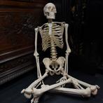 Realistische replica mensen skelet anatomische, Ophalen