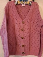 Hema vestje ajour mt 134/140 oud roze, Ophalen of Verzenden, Zo goed als nieuw, Hema, Meisje