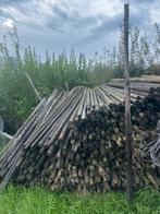 Boompalen, Ophalen, Palen