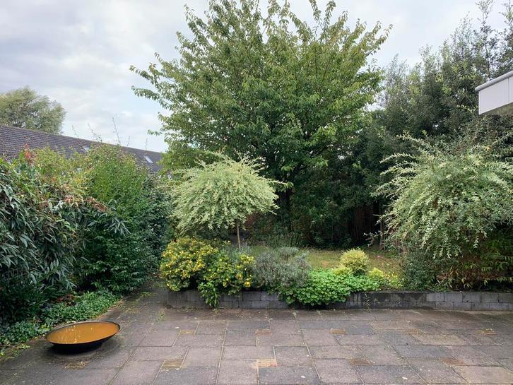 Tuinman, Tuin en Terras, Planten | Bomen, Ophalen of Verzenden