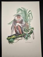 Doek, Verzenden, 1980 tot heden, Zo goed als nieuw, Dier