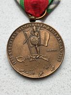 Medaille molluken , inderscheiding, Ophalen of Verzenden, Landmacht, Nederland, Lintje, Medaille of Wings