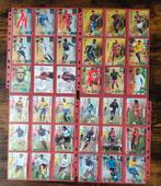 Panini Fifa World Cup Cards & Champions League .In Overleg, Ophalen of Verzenden, Zo goed als nieuw, Buitenlandse clubs, Poster, Plaatje of Sticker